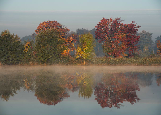 Autumn Trees Reflected in Misty Lake