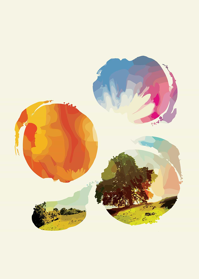 Tycho Past Is Prologue