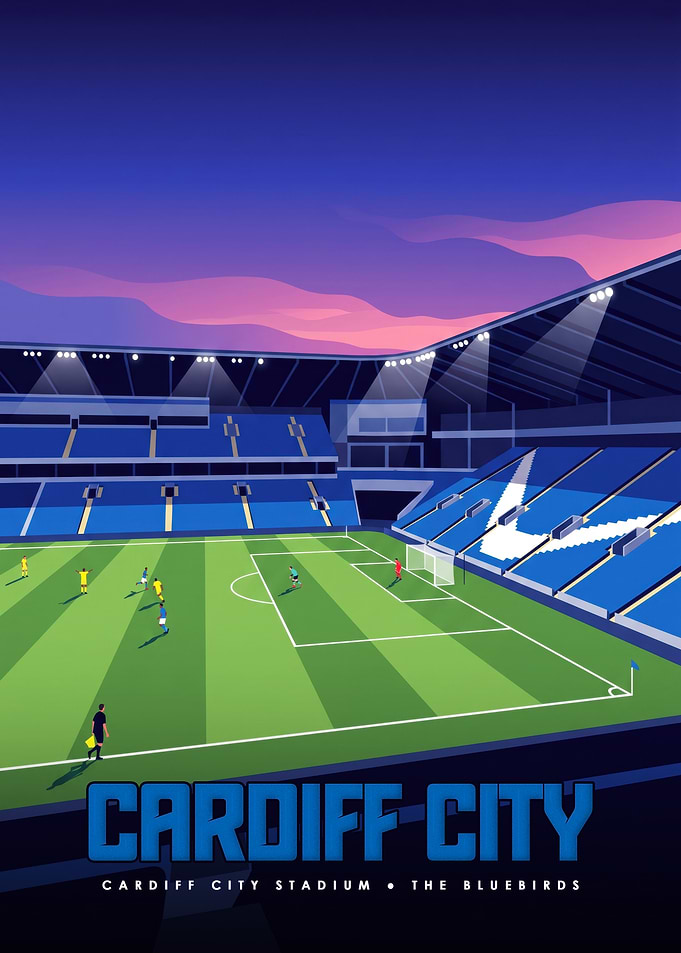 Cardiff City Stadium Soccer Blue And White