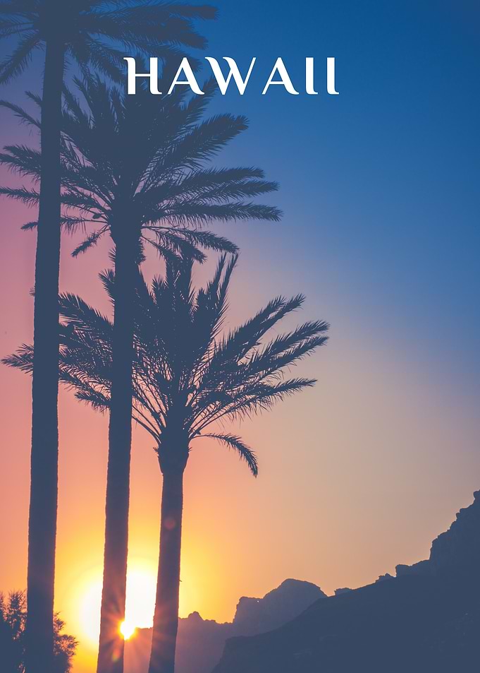 Hawaii Sunset Palm Tree Poster
