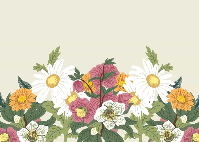 Floral Botanical Illustration Border
