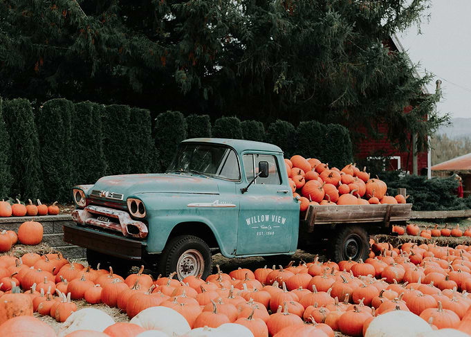 Vintage Truck at Pumpkin Patch