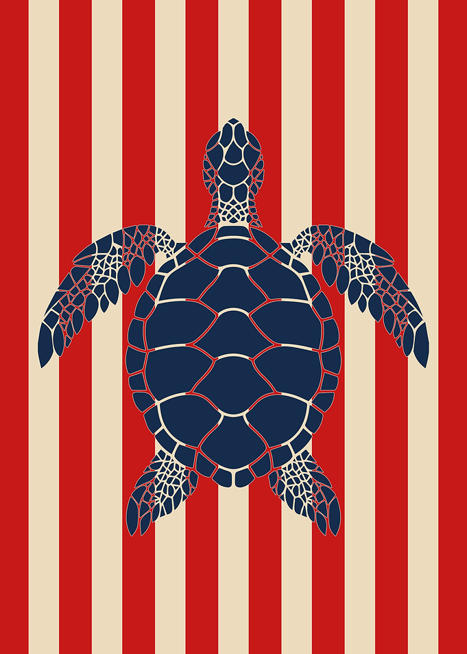 Patriotic Sea Turtle Graphic Art