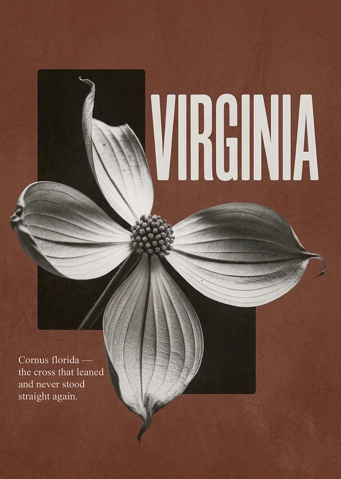 Virginia Dogwood Botanical Poster