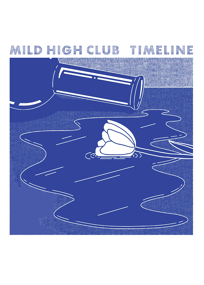 Mild High Club Timeline Album