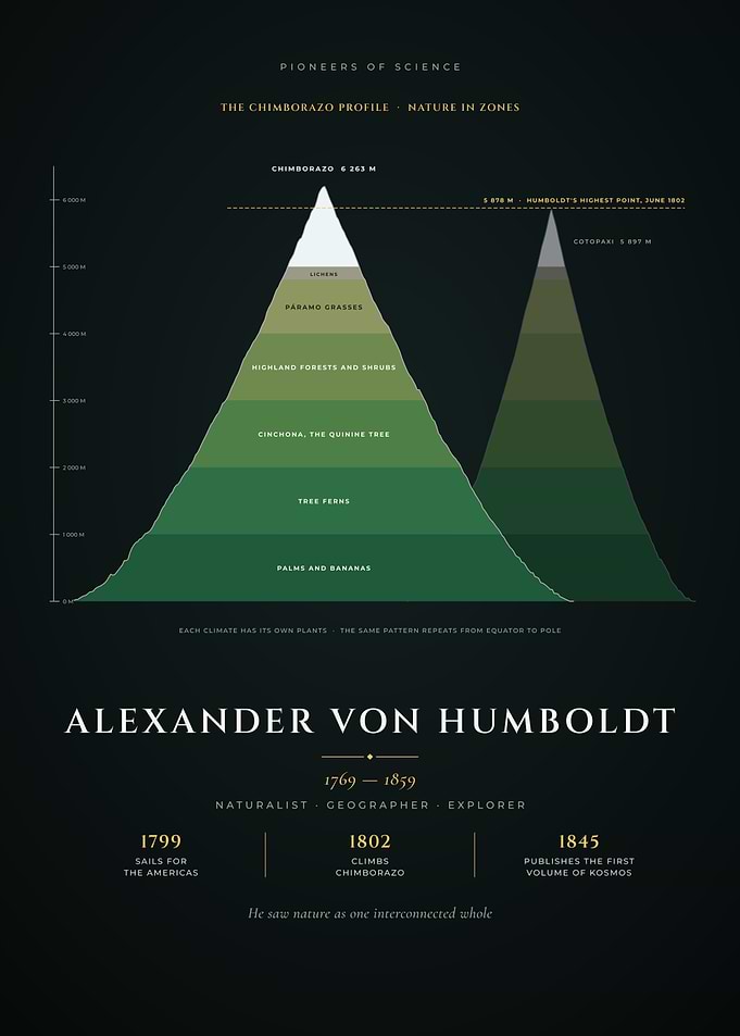 Alexander von Humboldt Chimborazo Nature Zones