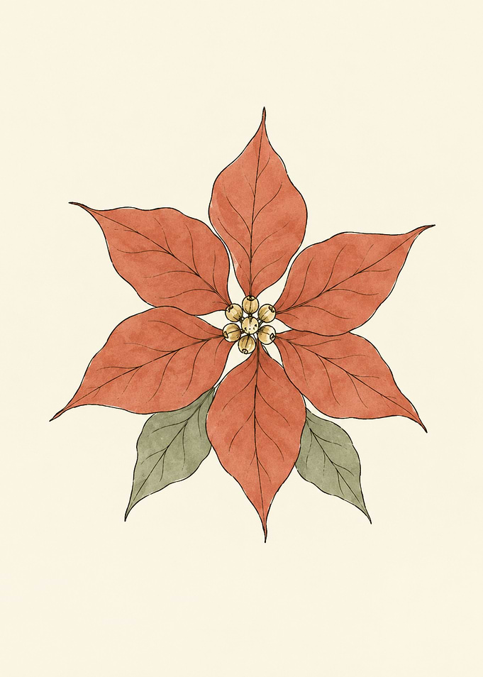 Watercolor Poinsettia Botanical Illustration