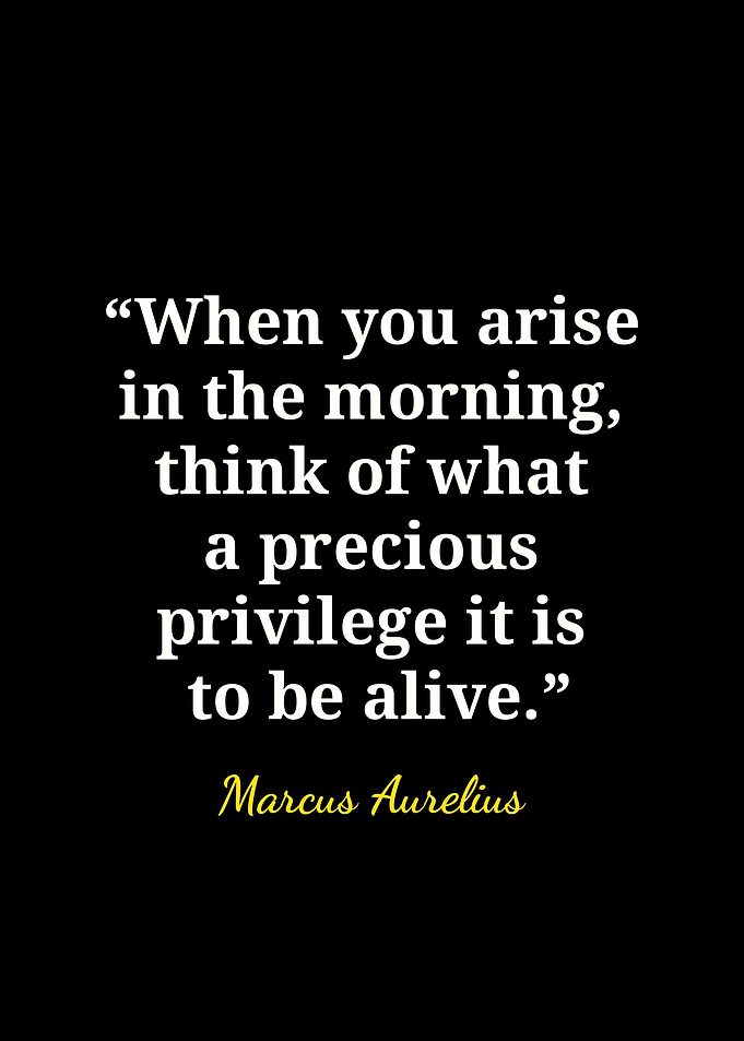 Marcus Aurelius Inspirational Quote Poster