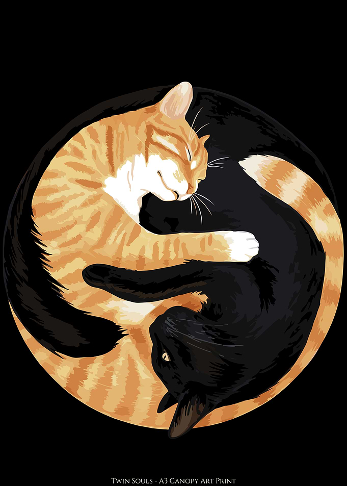 Yin Yang Cat Art Print