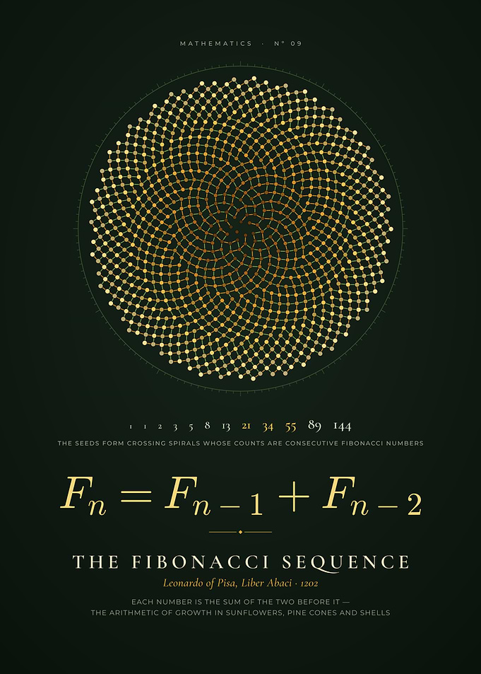 Fibonacci Sequence Sunflower Spiral, Phyllotaxis