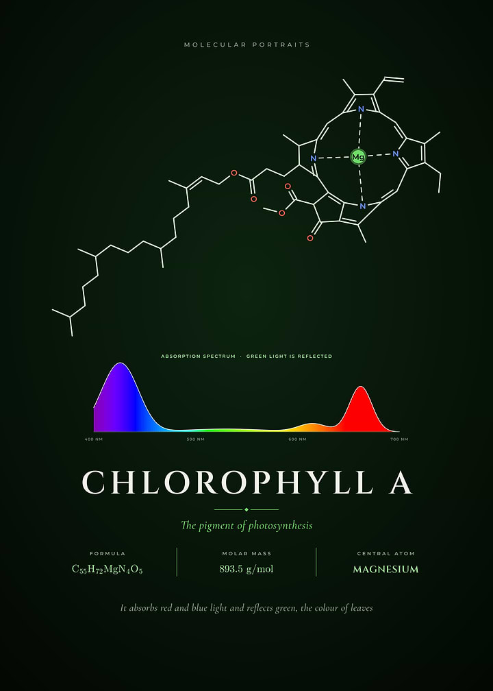 Chlorophyll A Molecule and Absorption Spectrum