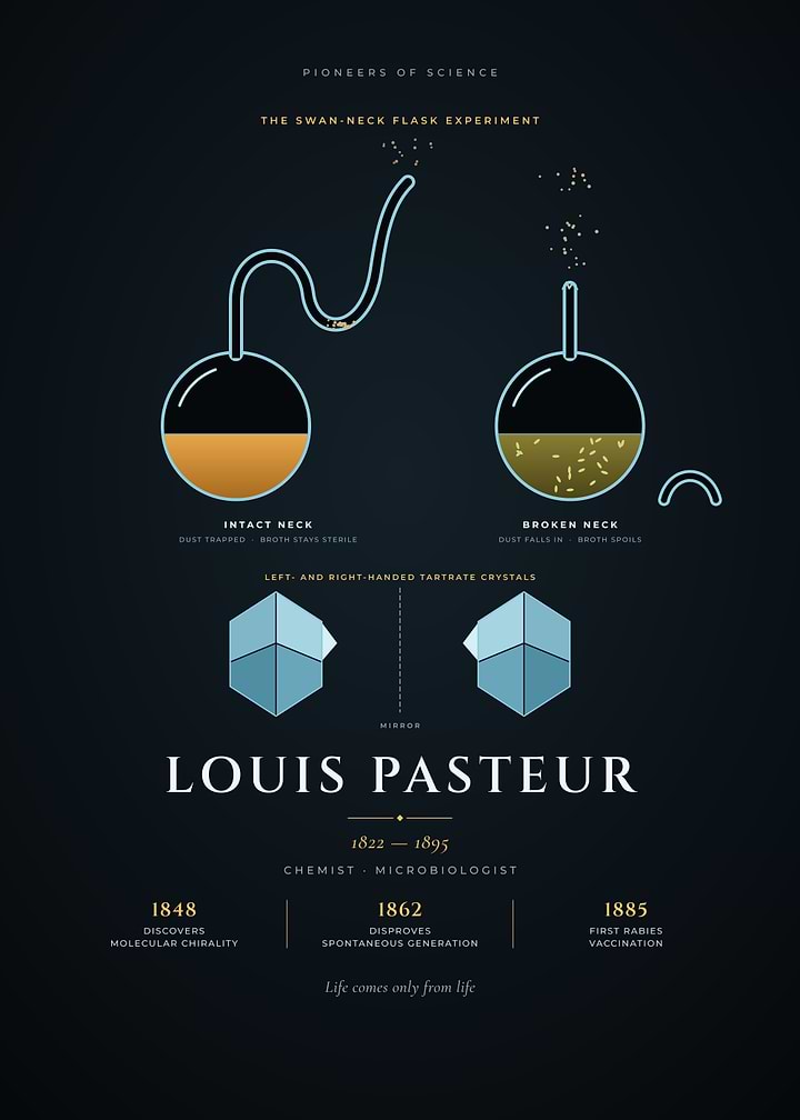 Louis Pasteur Swan Neck Flask Experiment