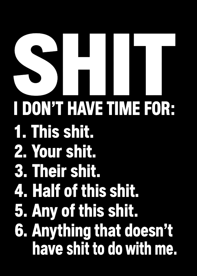 Funny Sarcastic Text Art Poster