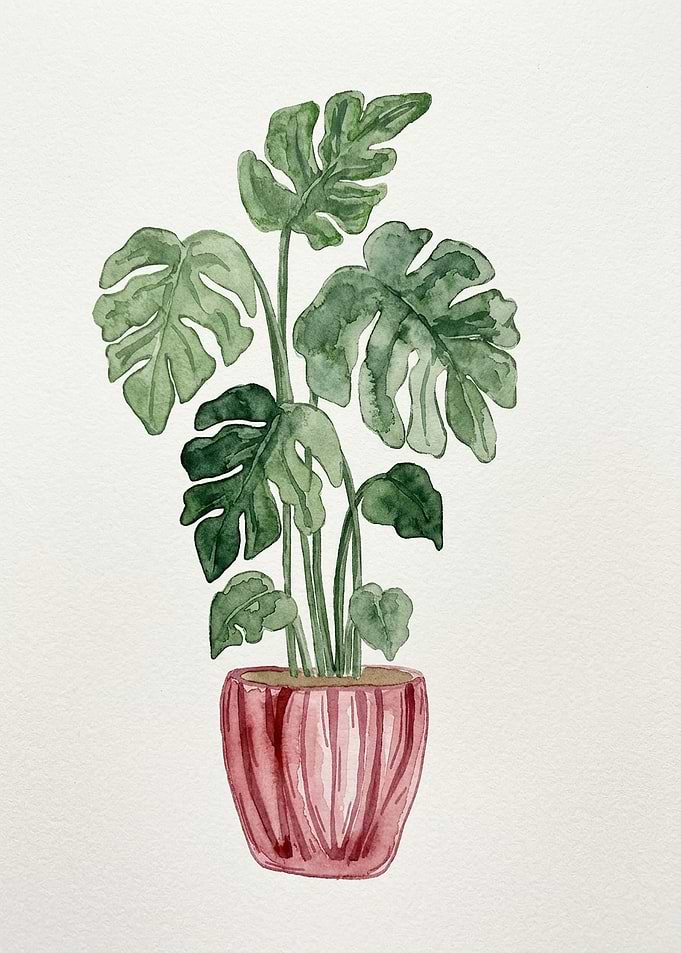 Watercolor Monstera Plant in Pink Pot
