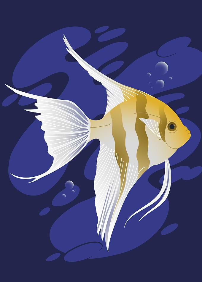 Stylized Angelfish Illustration