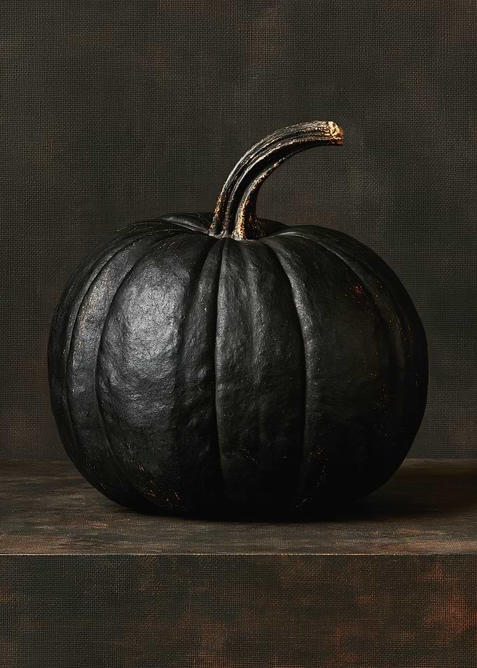 Single Black Pumpkin on a Dark Textured Table, Gothic Still Life Painting