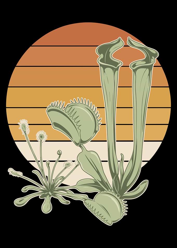 Retro Carnivorous Plant Illustration