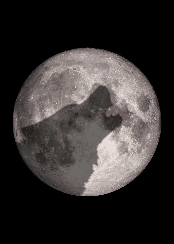 Wolf Silhouette Against Full Moon