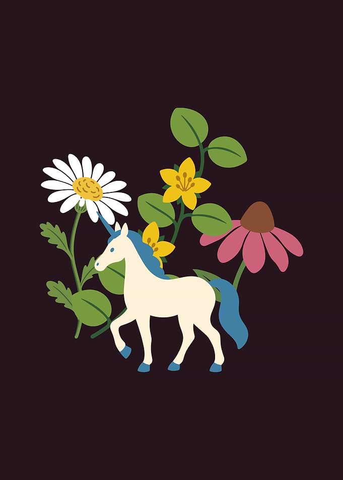 Unicorn Flowers Kids Fairytale Coneflower