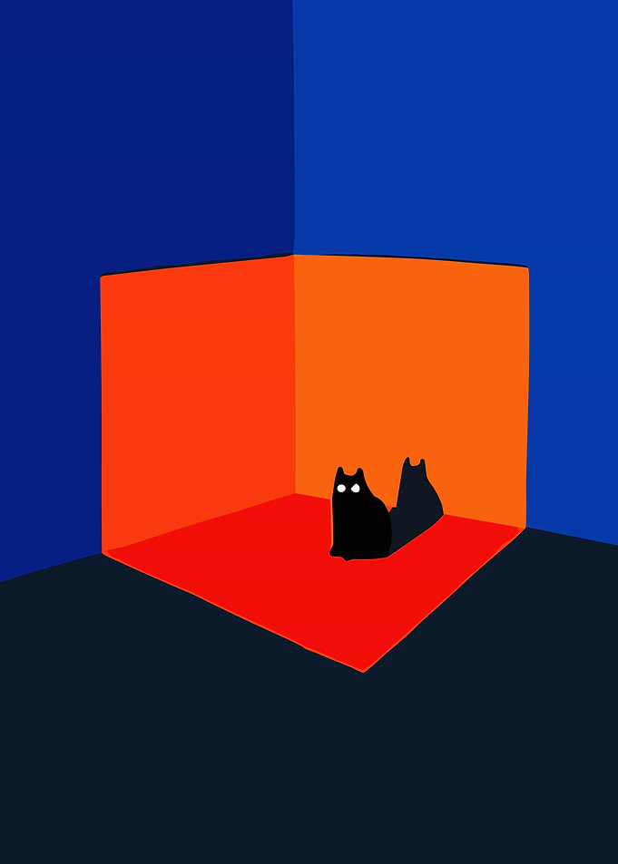 Black Cat in Corner