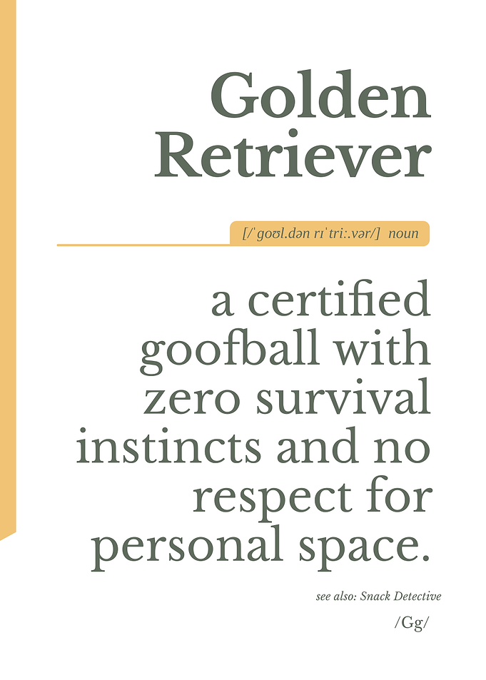 Funny Golden Retriever Dictionary Definition Poster