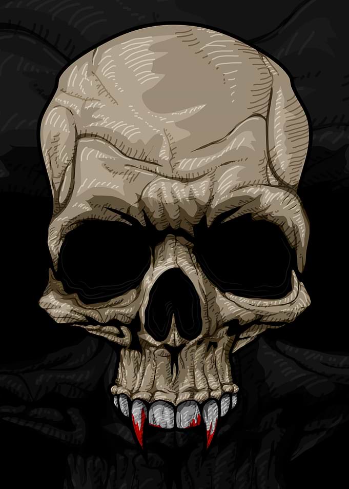 Vampire Skull Illustration