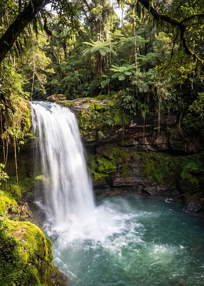 Lush Tropical Waterfall in Rainforest