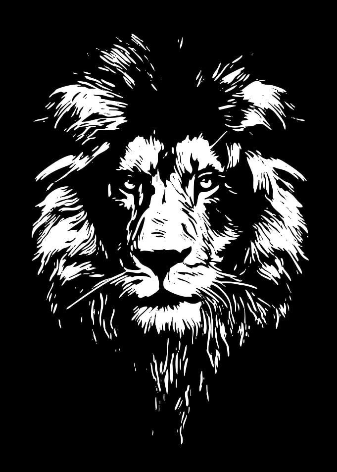 Bold Black and White Lion Portrait