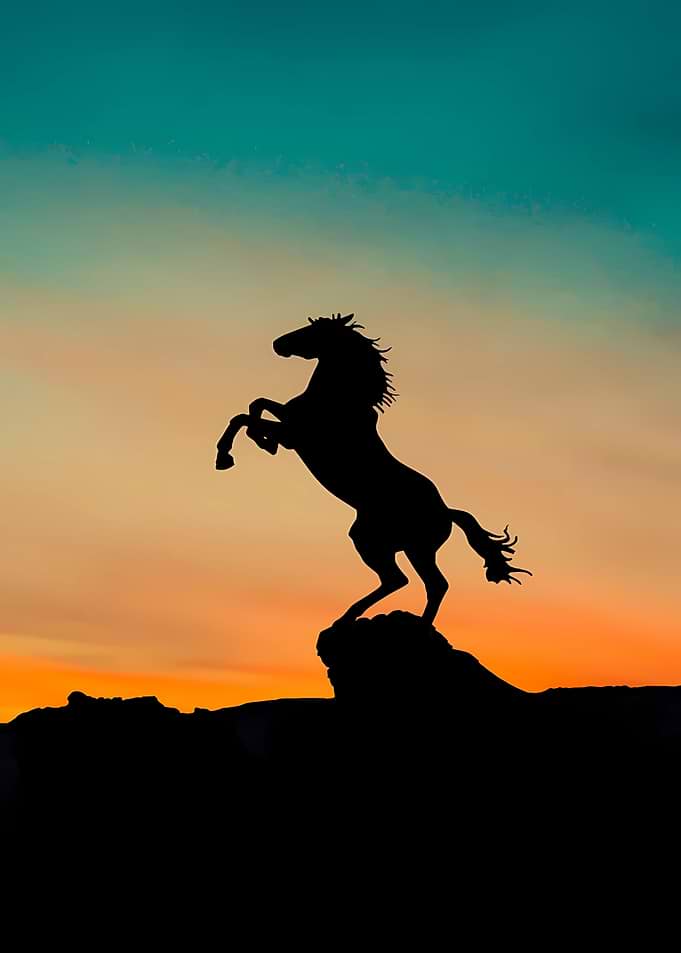 Silhouette of a Rearing Horse