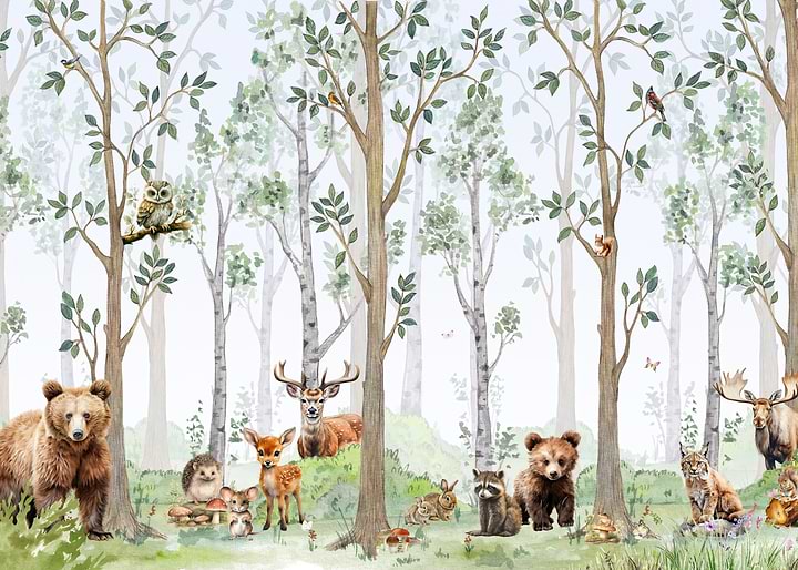 Life in the Birch Forest
