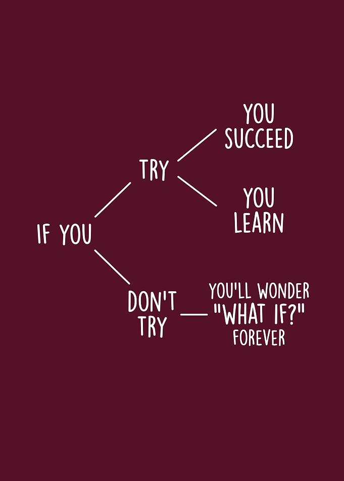Inspirational Try vs Don't Try Flowchart