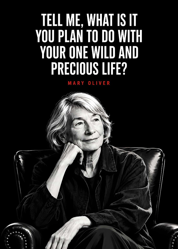 Mary Oliver Inspirational Quote Poster