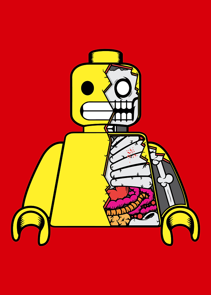 Anatomical Lego Minifigure Illustration