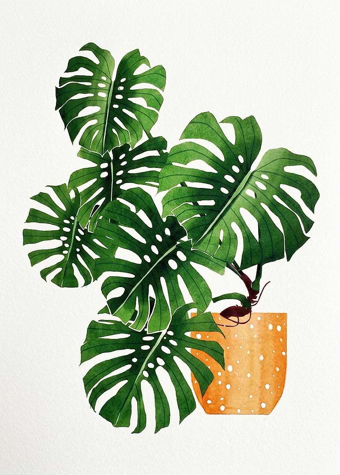 Watercolor Monstera Plant in Pot