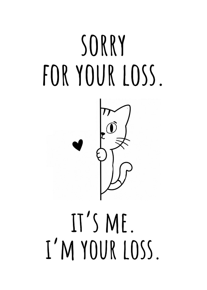 Funny Cat Sorry For Your Loss