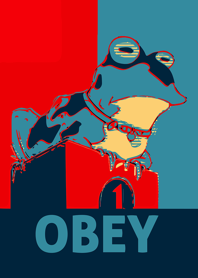 Obey Frog Pop Art Poster