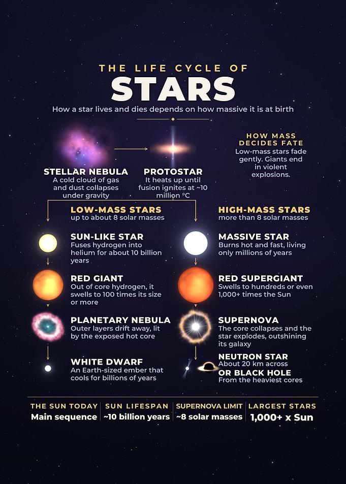 Life Cycle Of Stars Stellar Evolution Space Poster