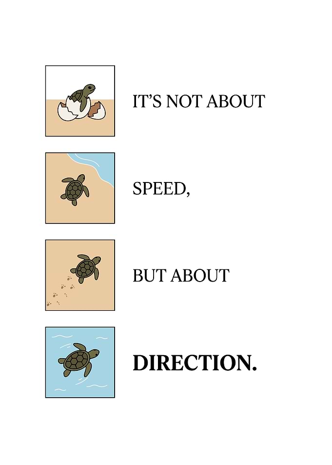 Inspirational Turtle Life Journey Poster