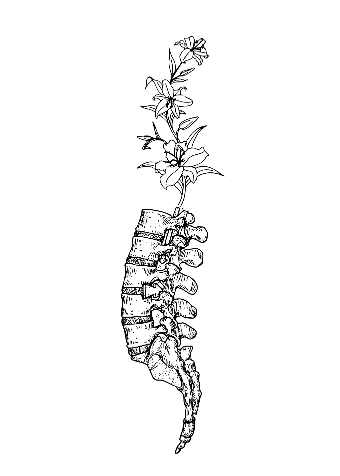 Spine with Blooming Lily Illustration