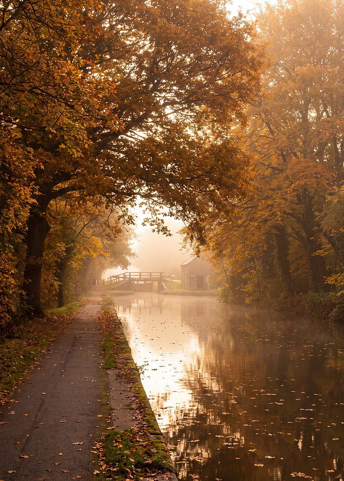 Misty Autumn Canal Path