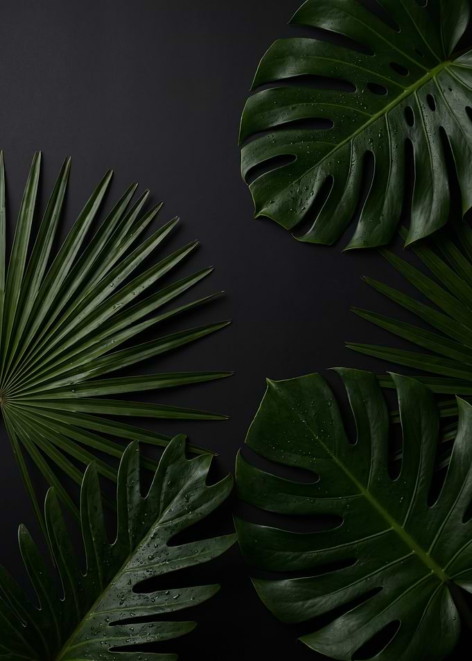 Tropical Monstera and Palm Leaves