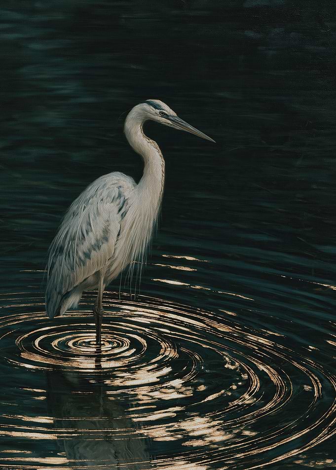 White Heron Standing in Dark Water with Golden Ripples, Elegant Bird Art