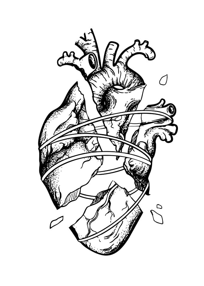 Shattered Anatomical Heart Line Art
