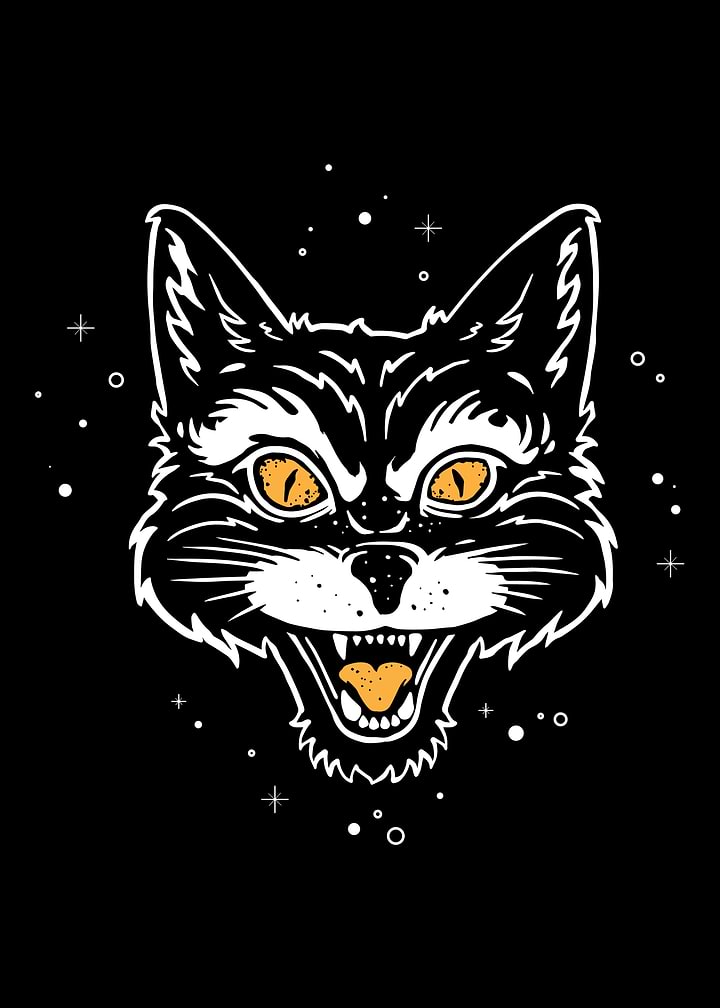 Stylized Fierce Fox Head Illustration