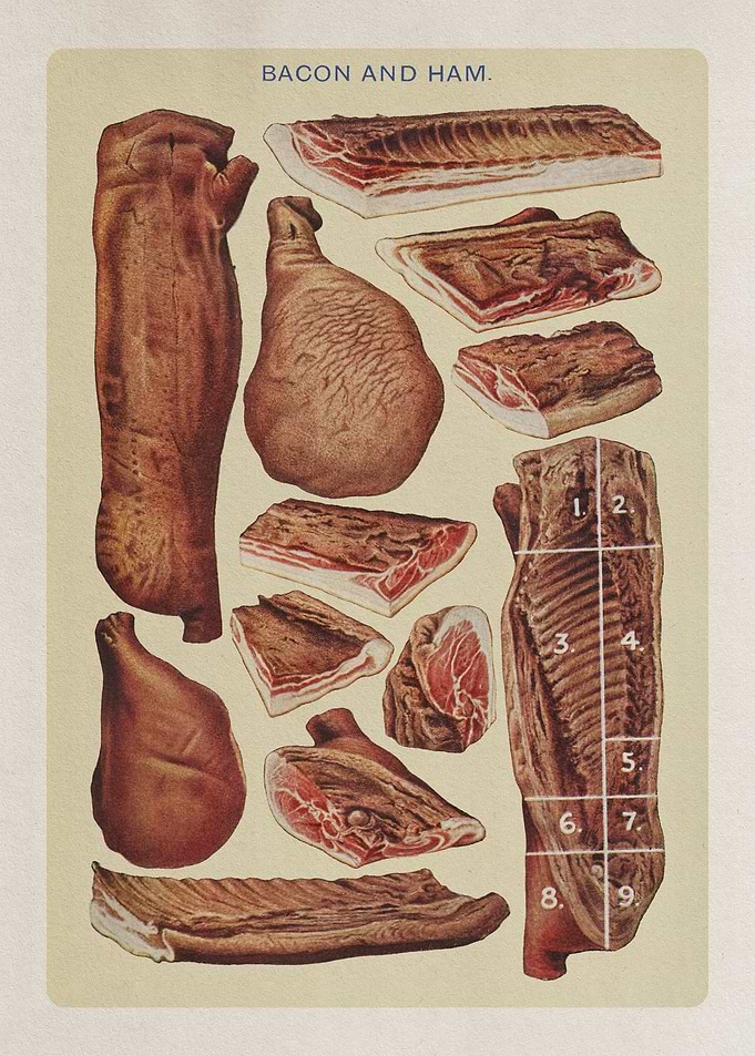 Bacon and ham: Vintage kitchen poster — Rustic art print