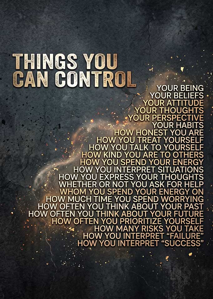 Things You Can Control Inspirational Poster