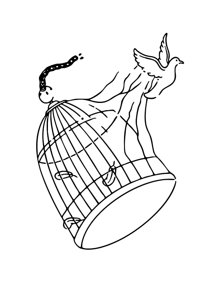 Bird Escaping from Cage Line Art