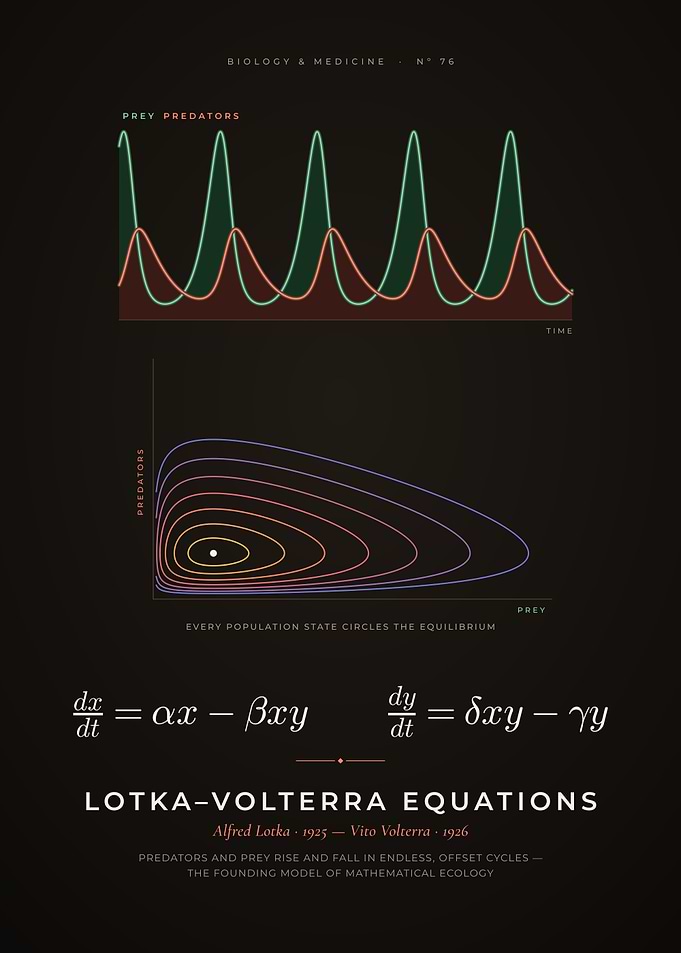 Lotka-Volterra Equations, Predator and Prey Cycles
