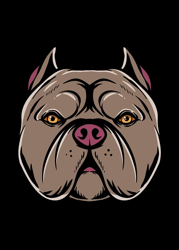 Stylized Pitbull Dog Portrait