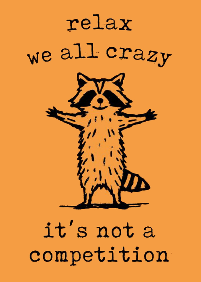 Funny Raccoon Inspirational Quote Poster